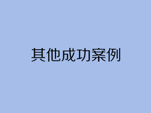 其他成功案例